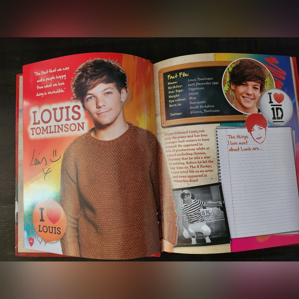 One Direction Secret Notebook 2013 - Picture 12 of 14